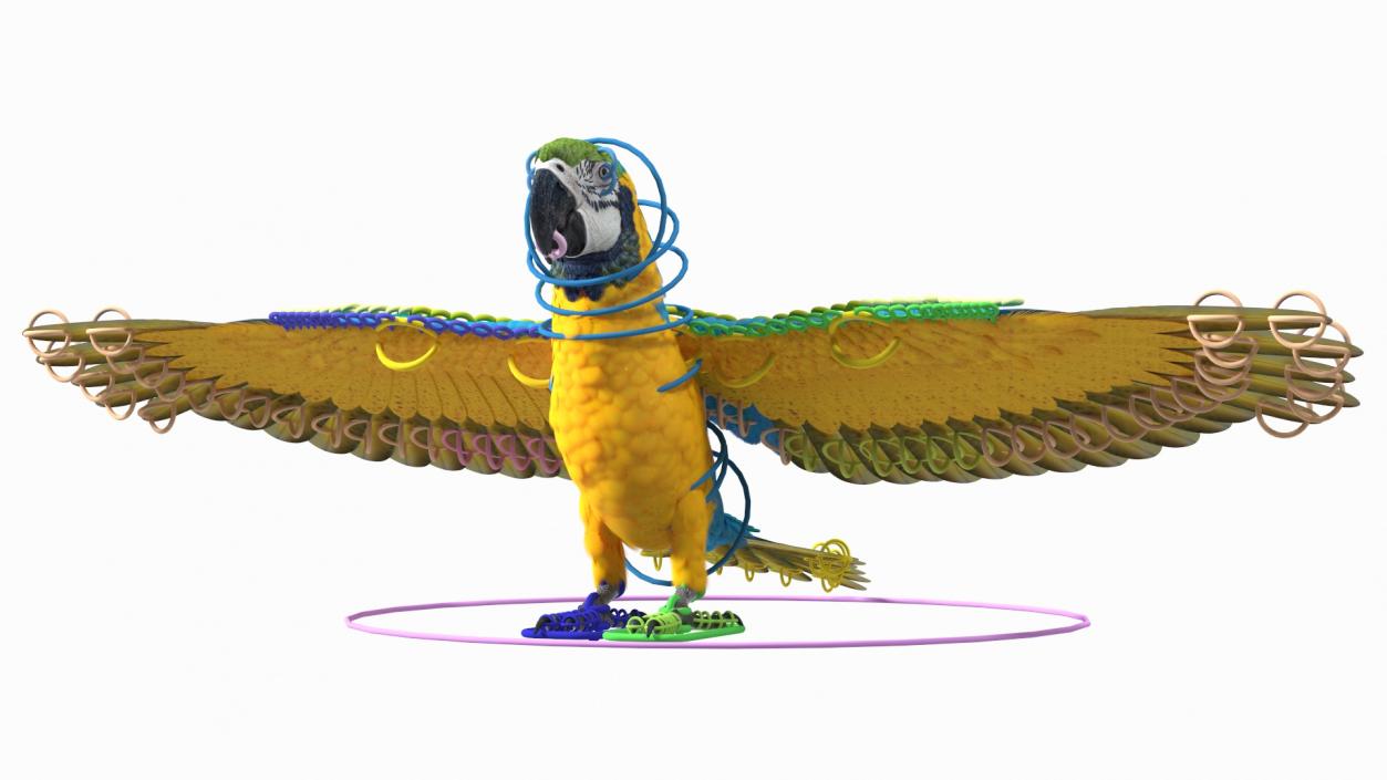 3D model Blue and Yellow Macaw Parrot Rigged