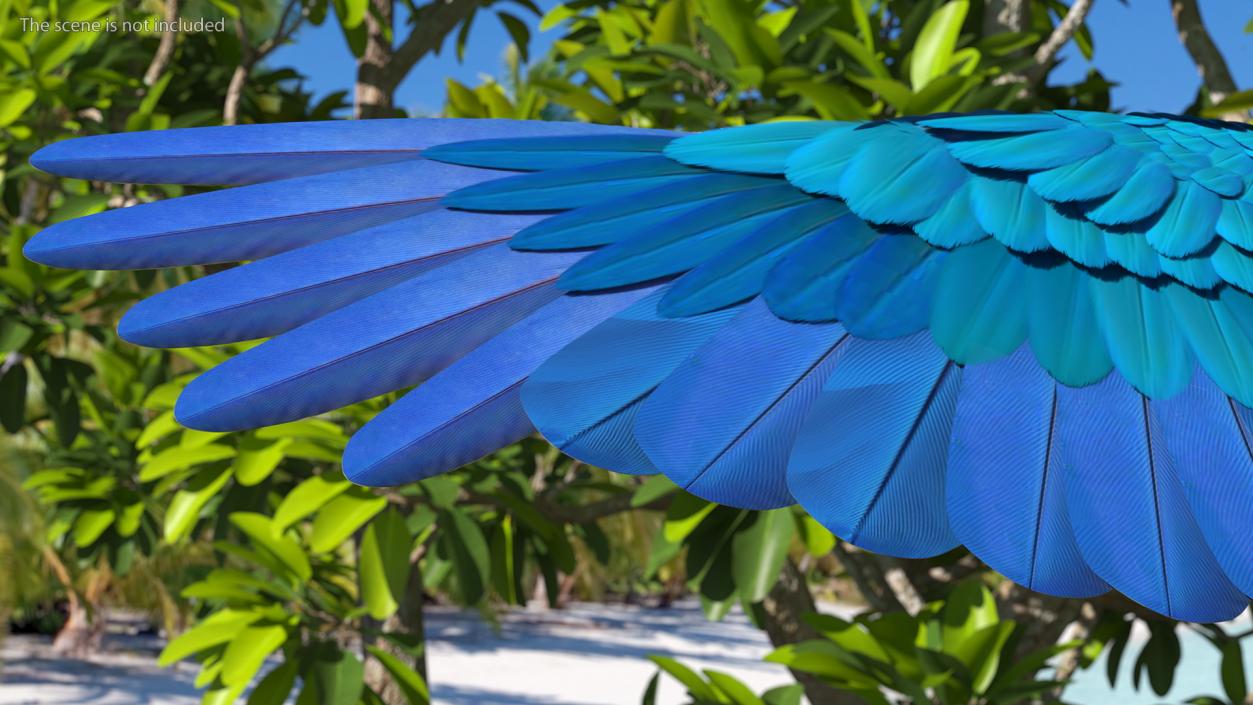 3D model Blue and Yellow Macaw Parrot Rigged