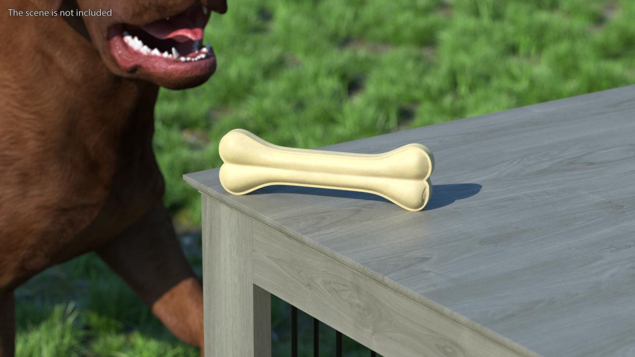 Dog Chew Bone Light 3D model