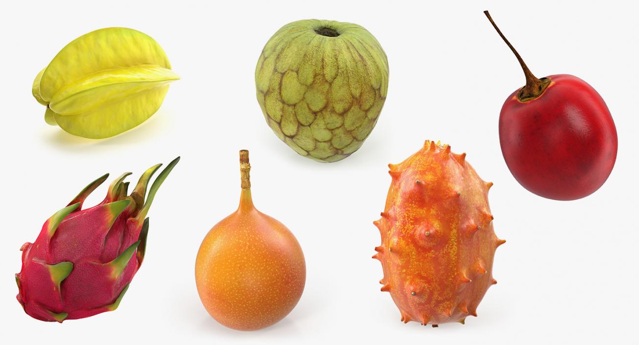 Exotic Fruits 3D Models Collection 3D model