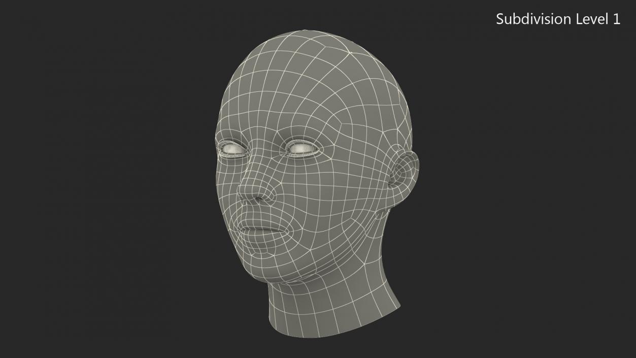 3D Female Bald Head