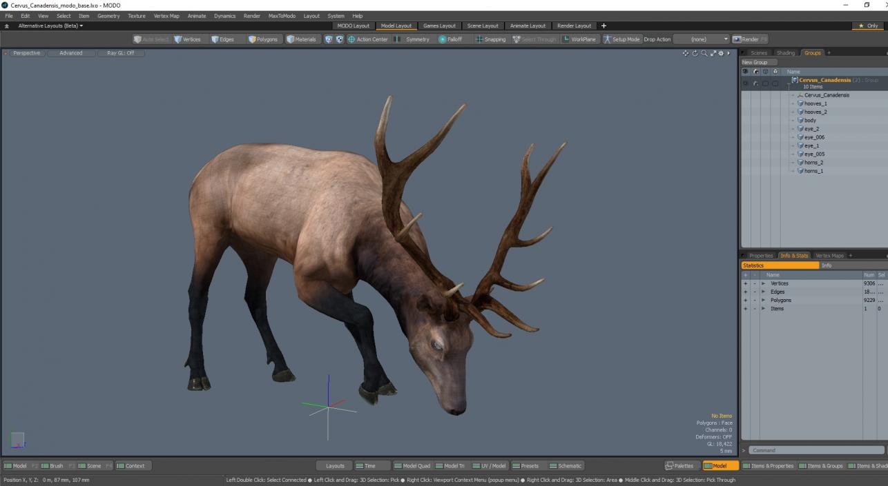 Cervus Canadensis 3D