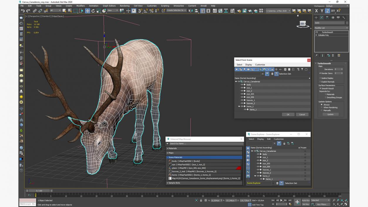 Cervus Canadensis 3D