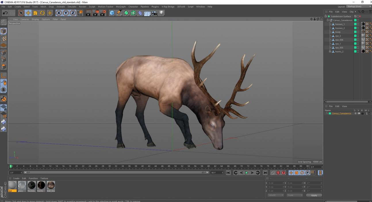 Cervus Canadensis 3D