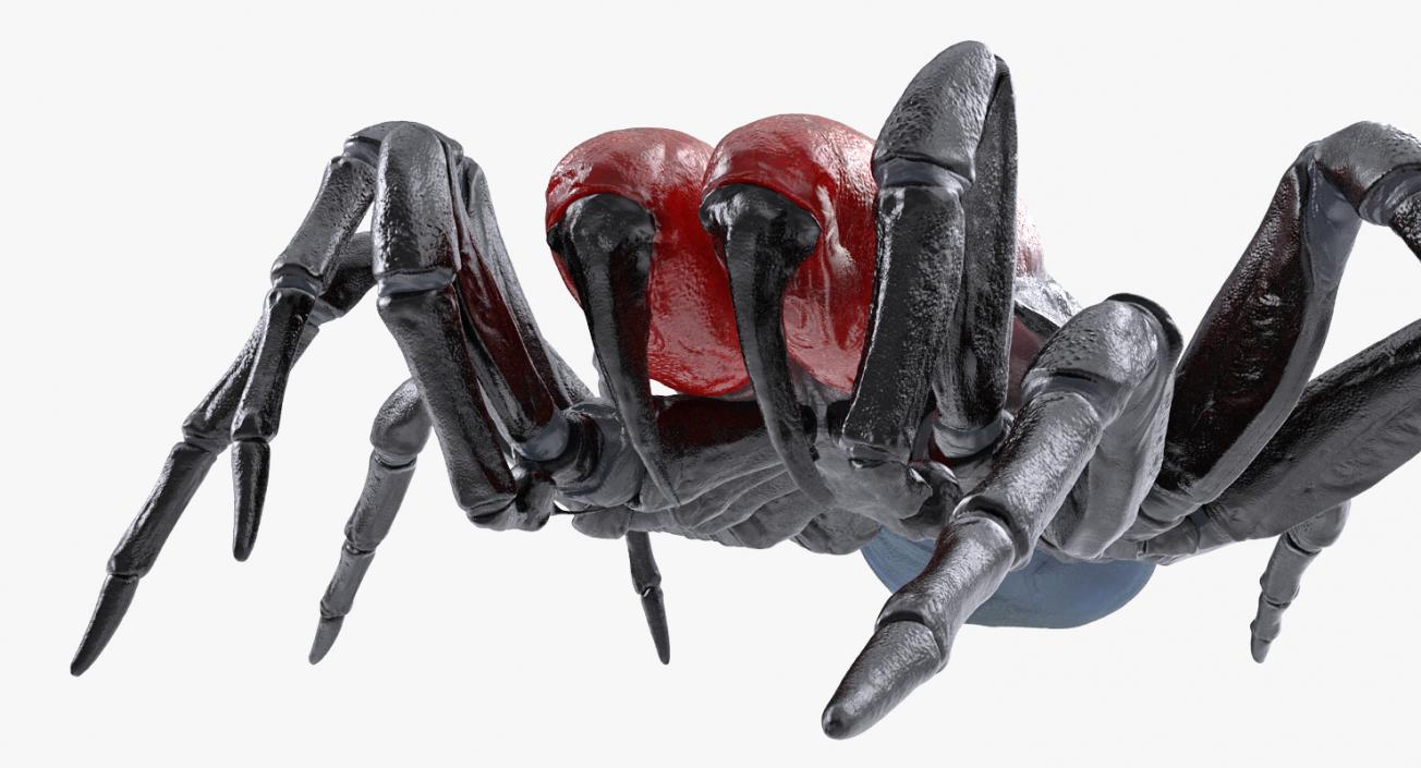 3D Missulena Spider