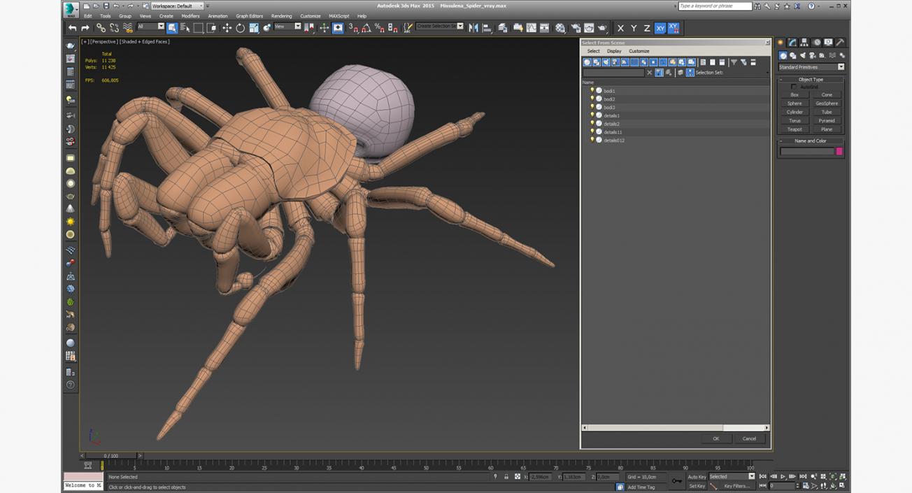 3D Missulena Spider