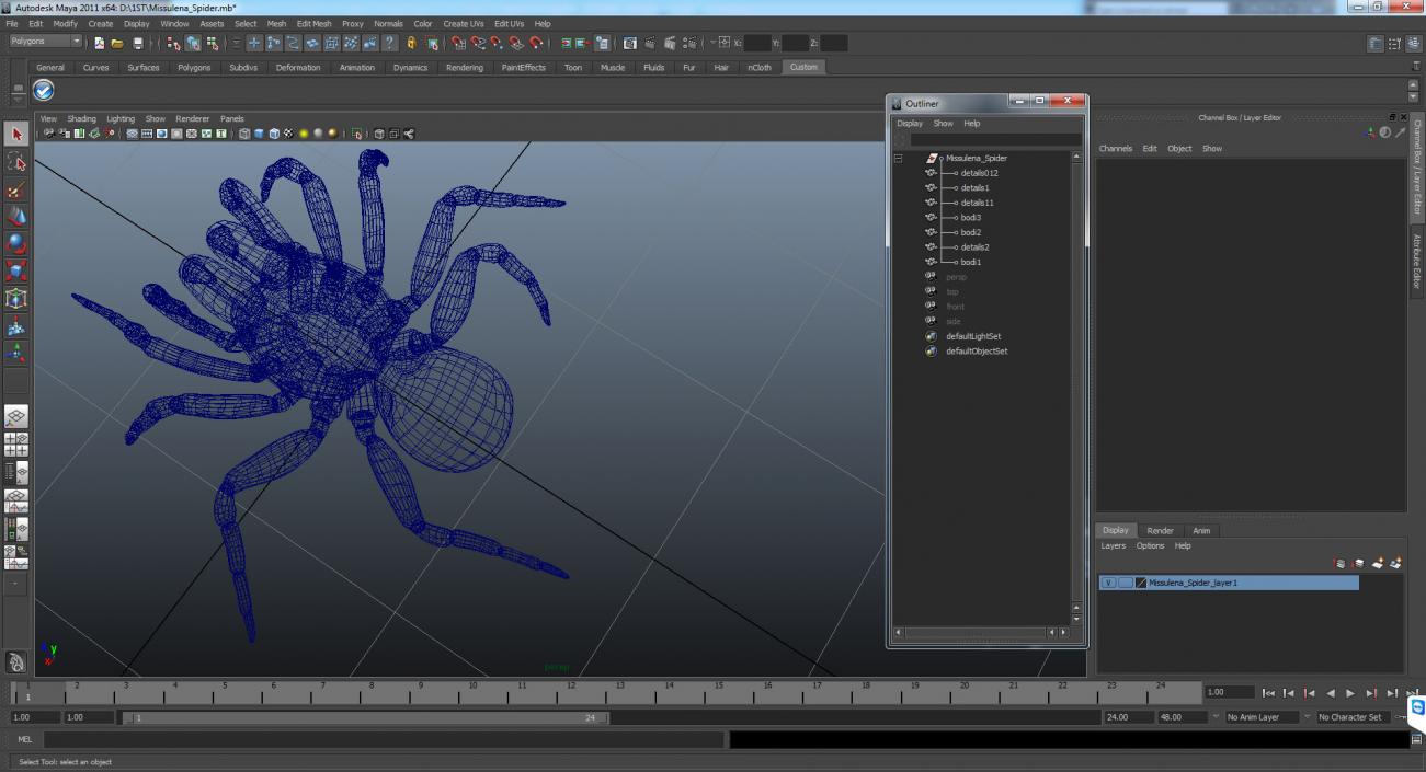 3D Missulena Spider