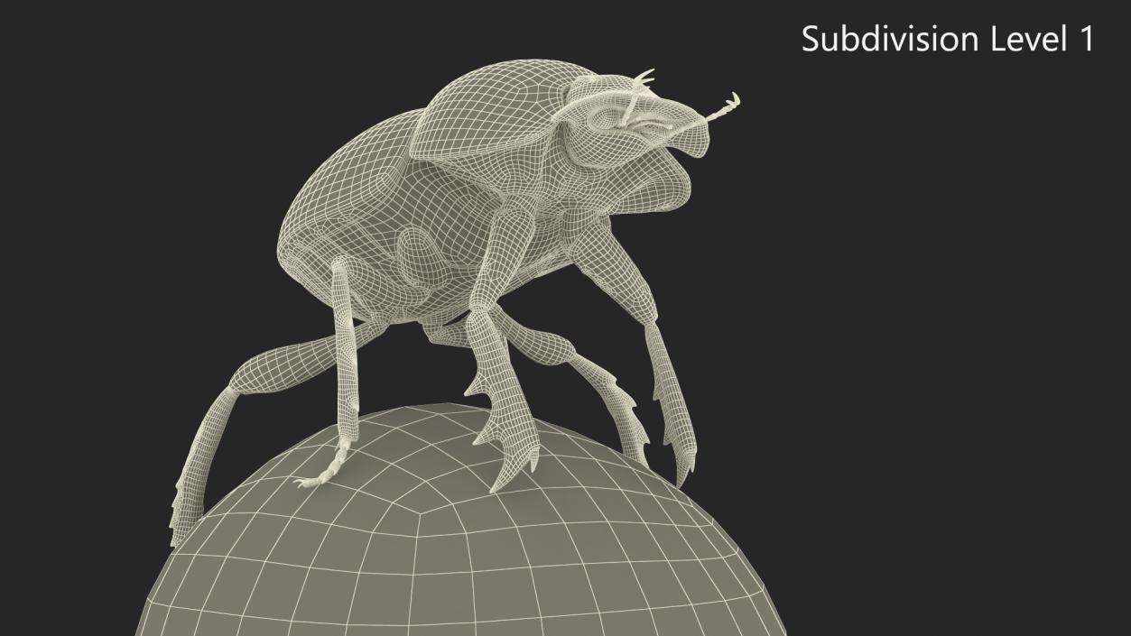 Dung Beetle on Dung Ball 3D model