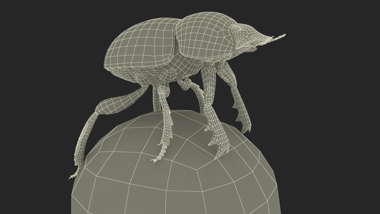 Dung Beetle on Dung Ball 3D model