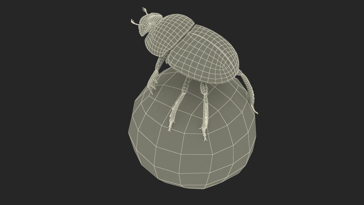 Dung Beetle on Dung Ball 3D model