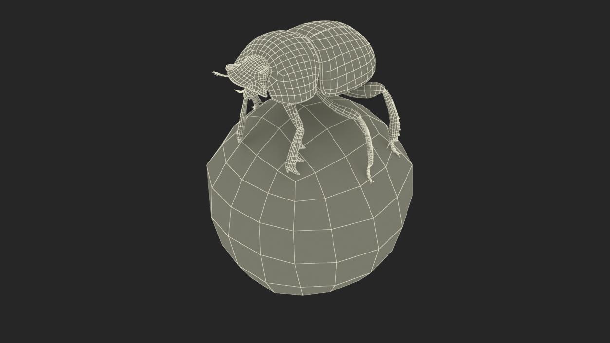 Dung Beetle on Dung Ball 3D model