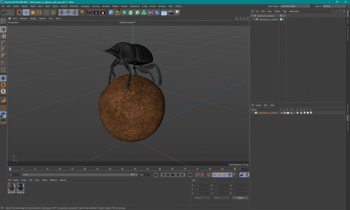 Dung Beetle on Dung Ball 3D model