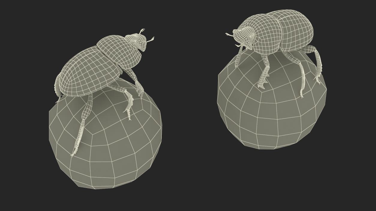 Dung Beetle on Dung Ball 3D model