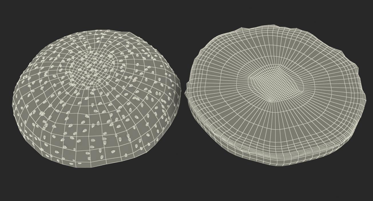 3D Hamburger Bun model