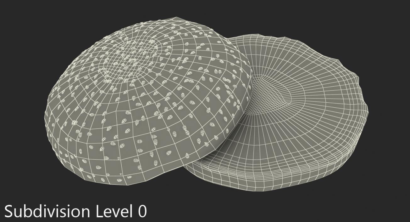 3D Hamburger Bun model