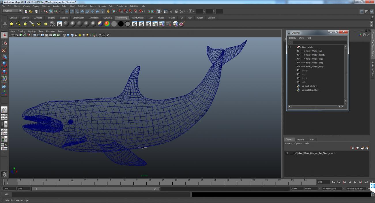 3D model Killer Whale Lies on the Floor