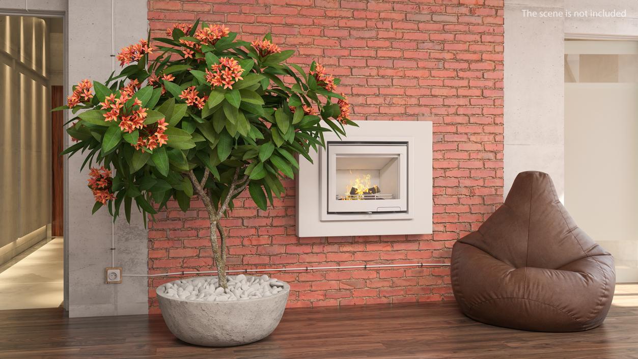 3D Flower Pot Plumeria Red model