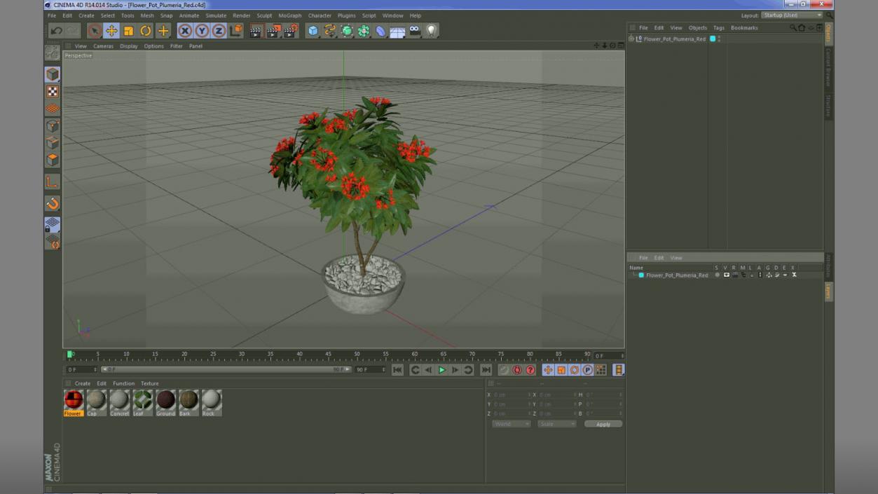 3D Flower Pot Plumeria Red model