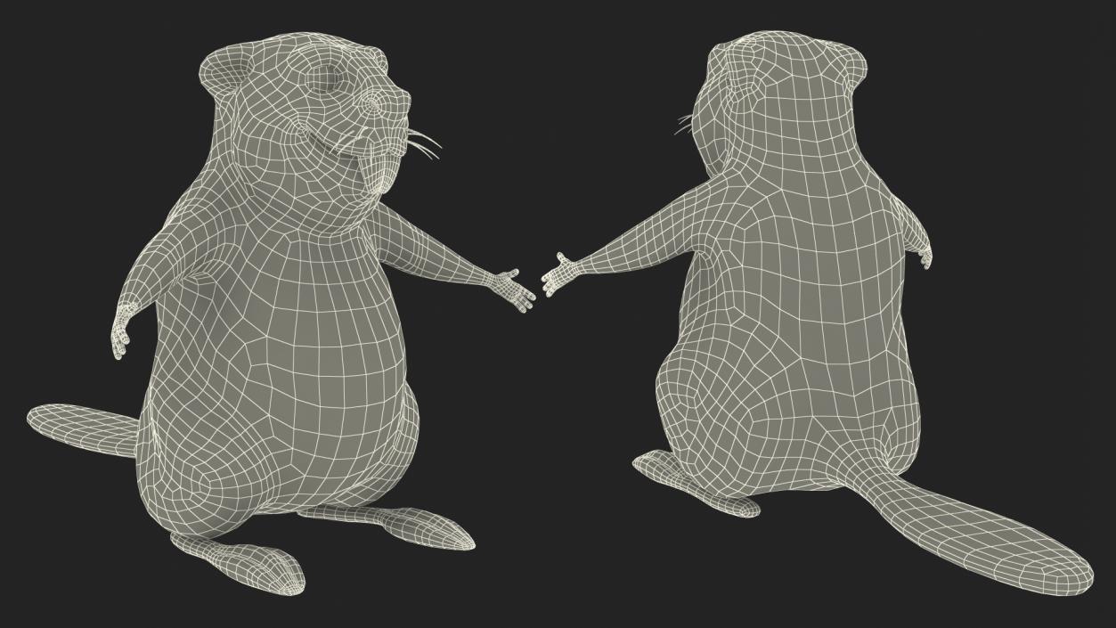 3D Cartoon Beaver Rigged