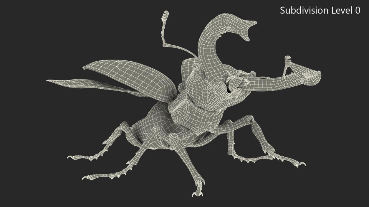 3D Lucanus Cervus Stag Beetle Rigged model