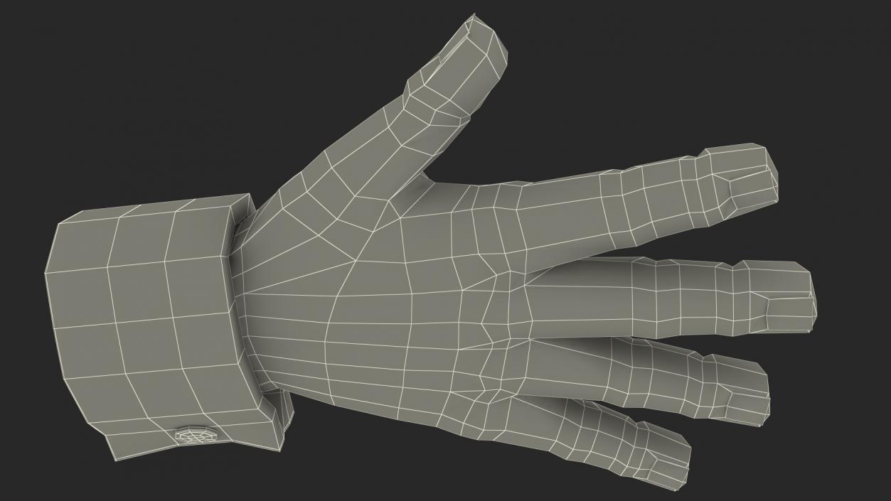 Cartoon Man Hands Rigged 3D model