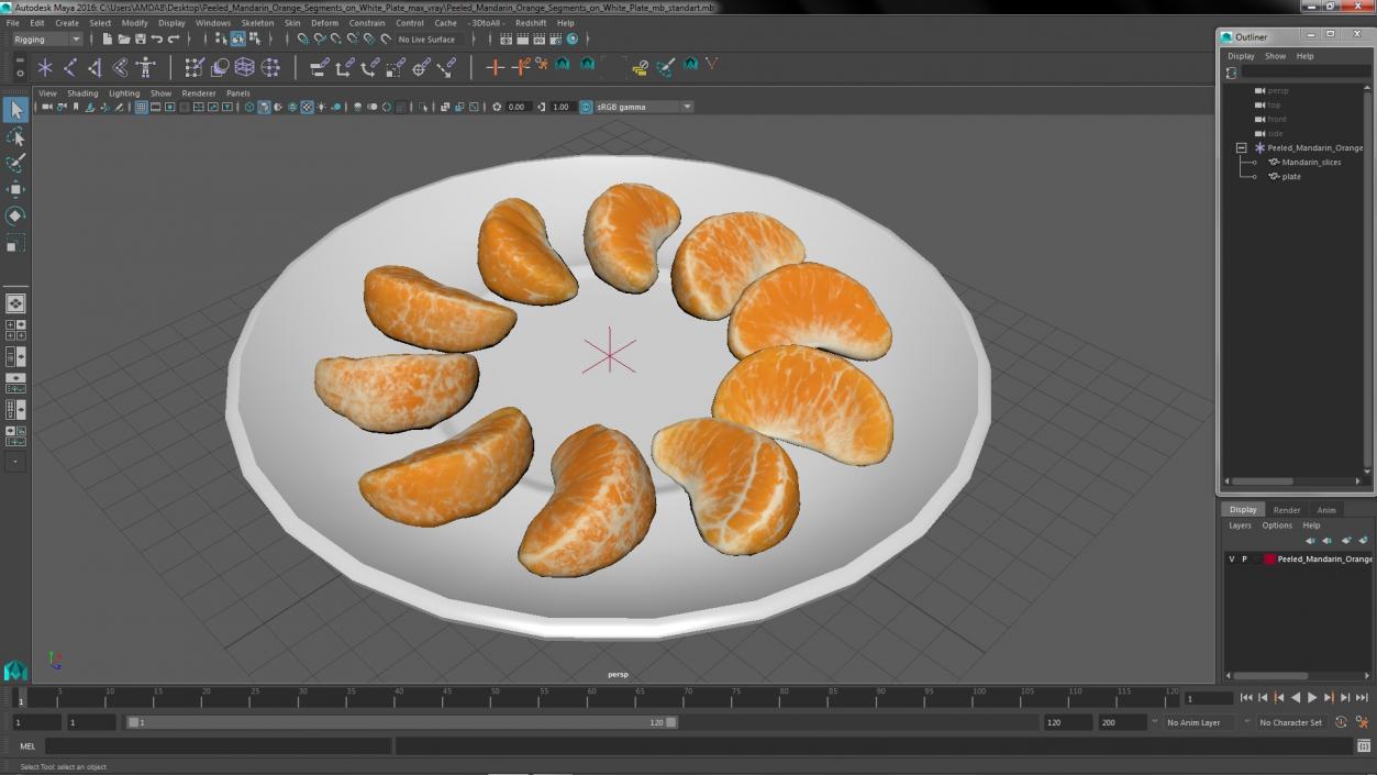 3D Peeled Mandarin Orange Segments on White Plate