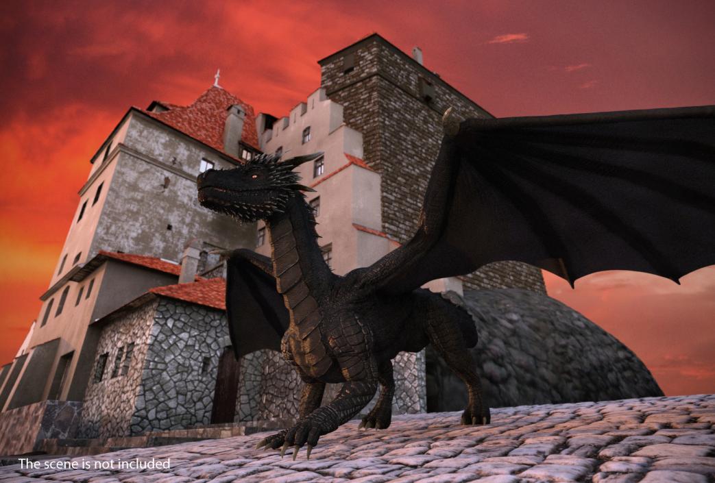 Mythical Black Dragon Walking 3D model