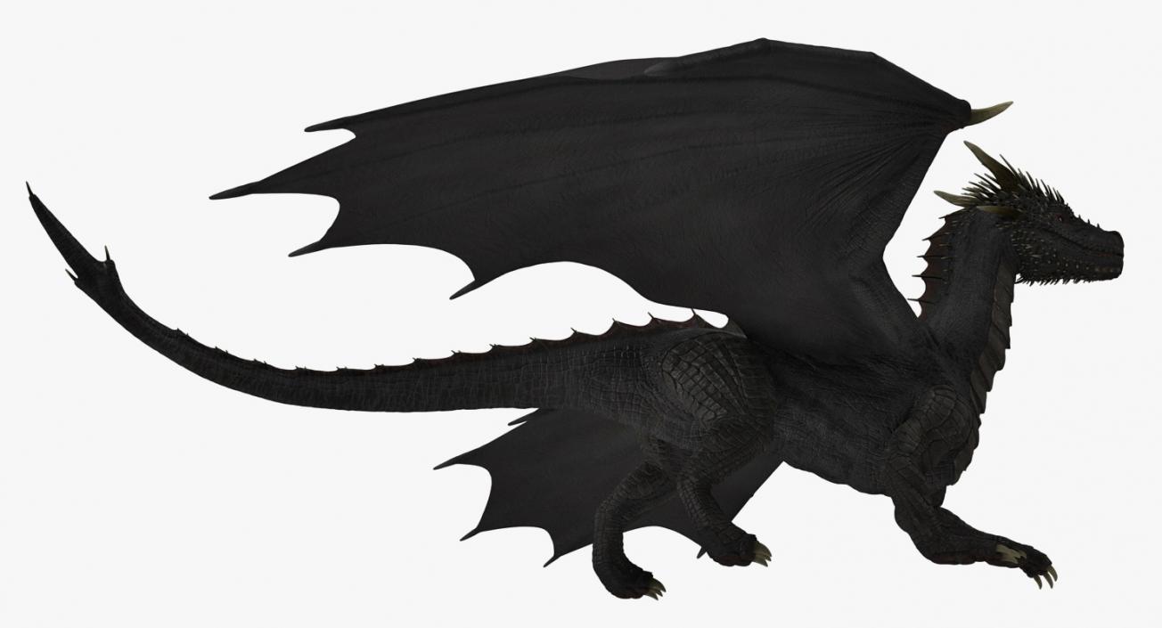 Mythical Black Dragon Walking 3D model