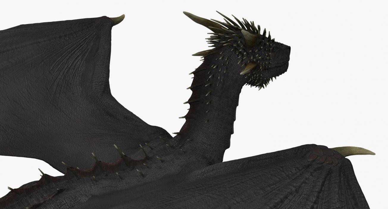 Mythical Black Dragon Walking 3D model