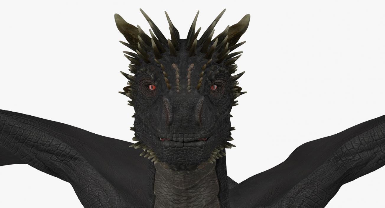 Mythical Black Dragon Walking 3D model