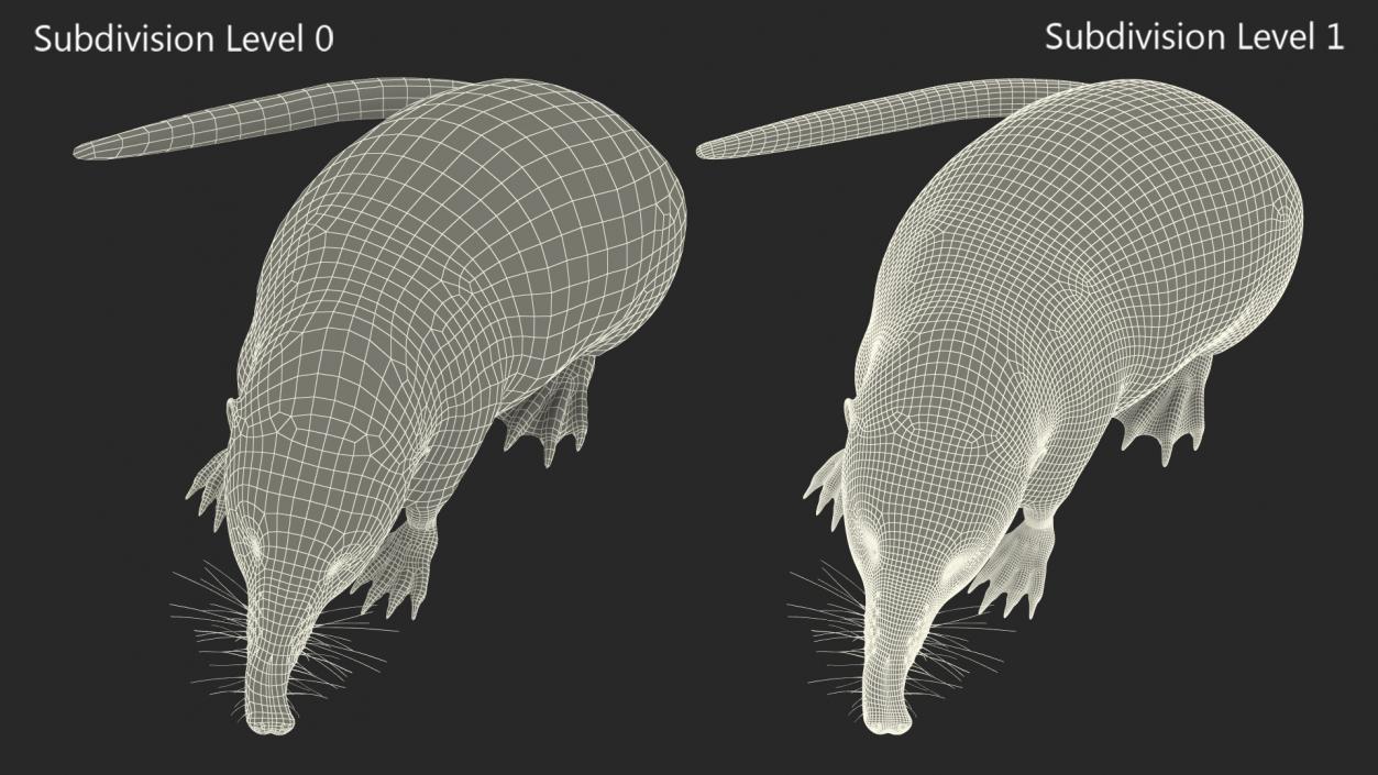 Desman Mammal Idle Pose Fur 3D