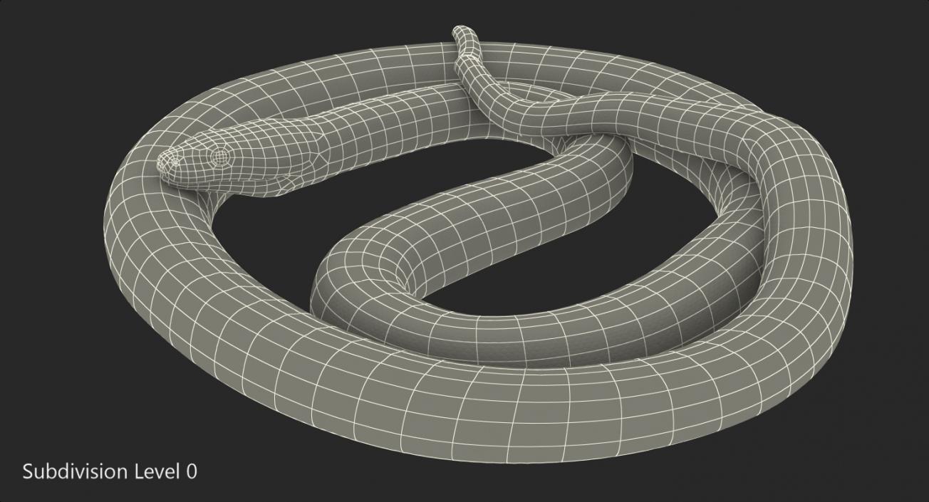 3D Yellow Python Snake Curled pose