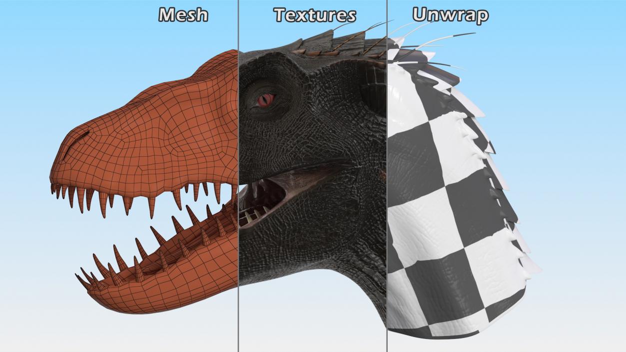 Dinosaur Superficial Anatomy Collection 3D model