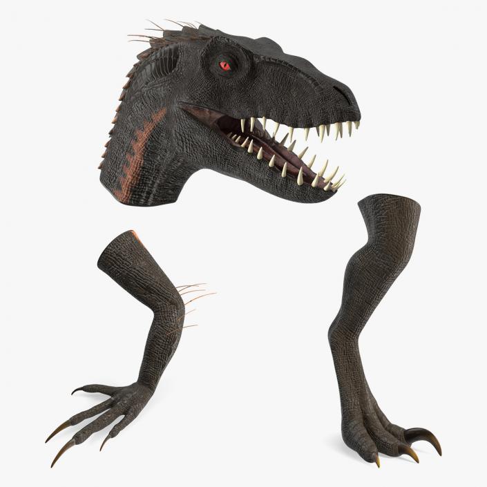 Dinosaur Superficial Anatomy Collection 3D model