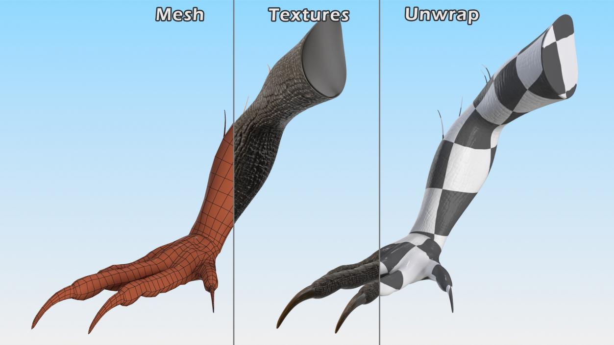 Dinosaur Superficial Anatomy Collection 3D model