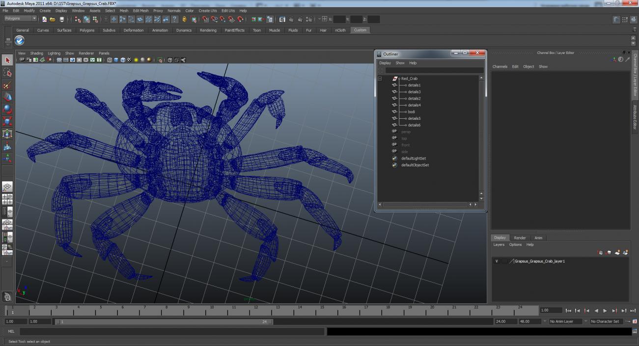 3D model Grapsus Grapsus Crab