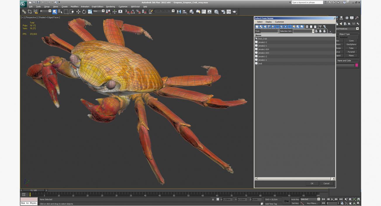 3D model Grapsus Grapsus Crab