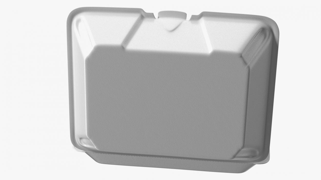 3D model Disposable Food Tray Open