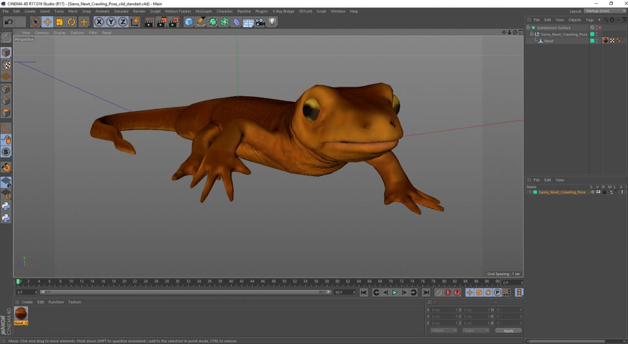 3D model Sierra Newt Crawling Pose