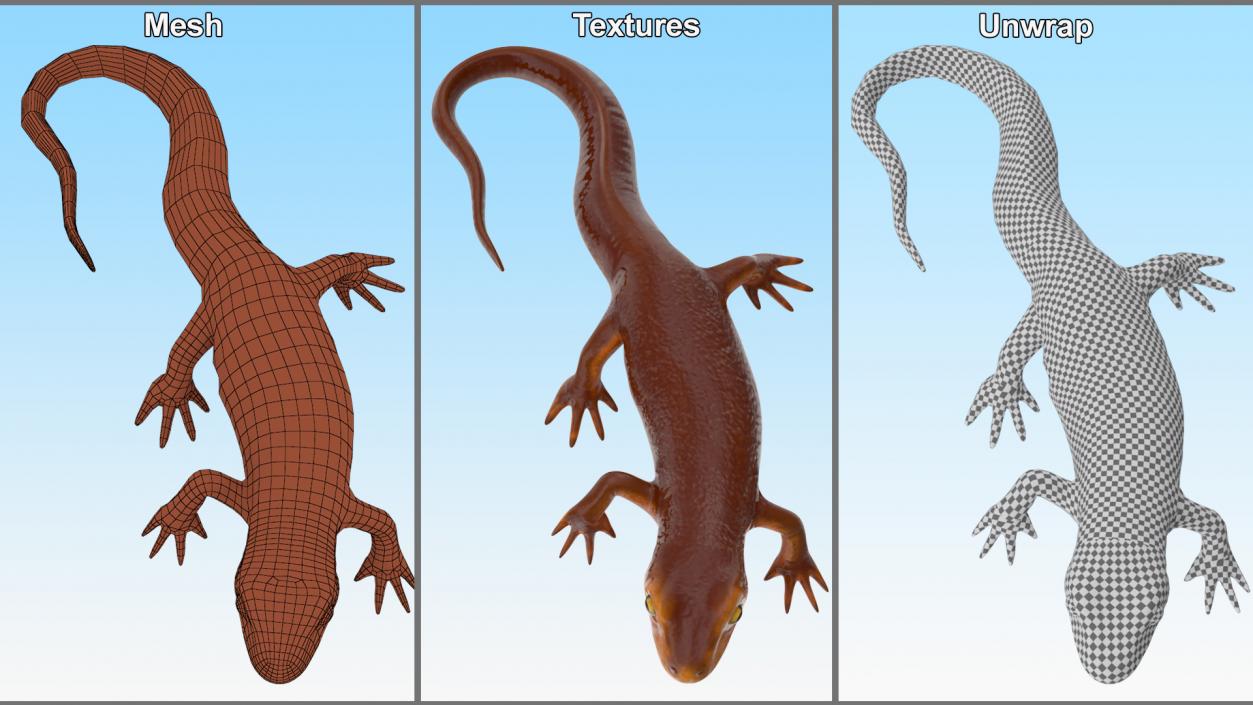 3D model Sierra Newt Crawling Pose