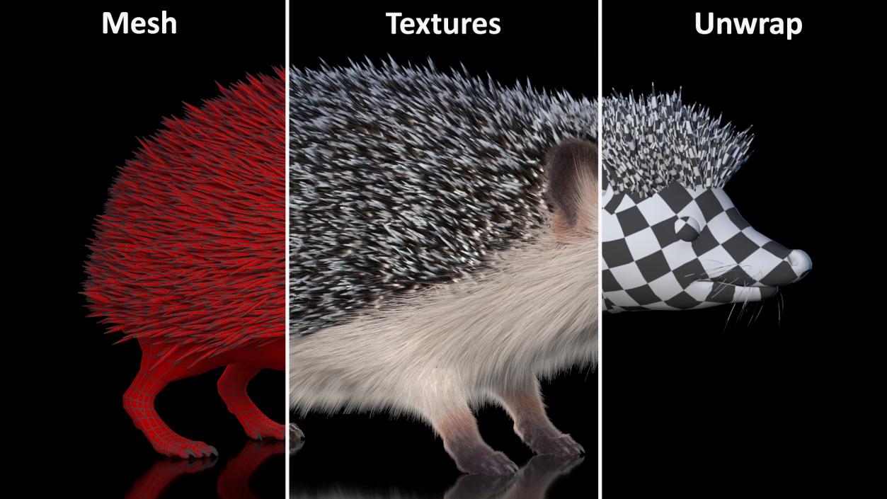 3D model Hedgehog White Fur Rigged