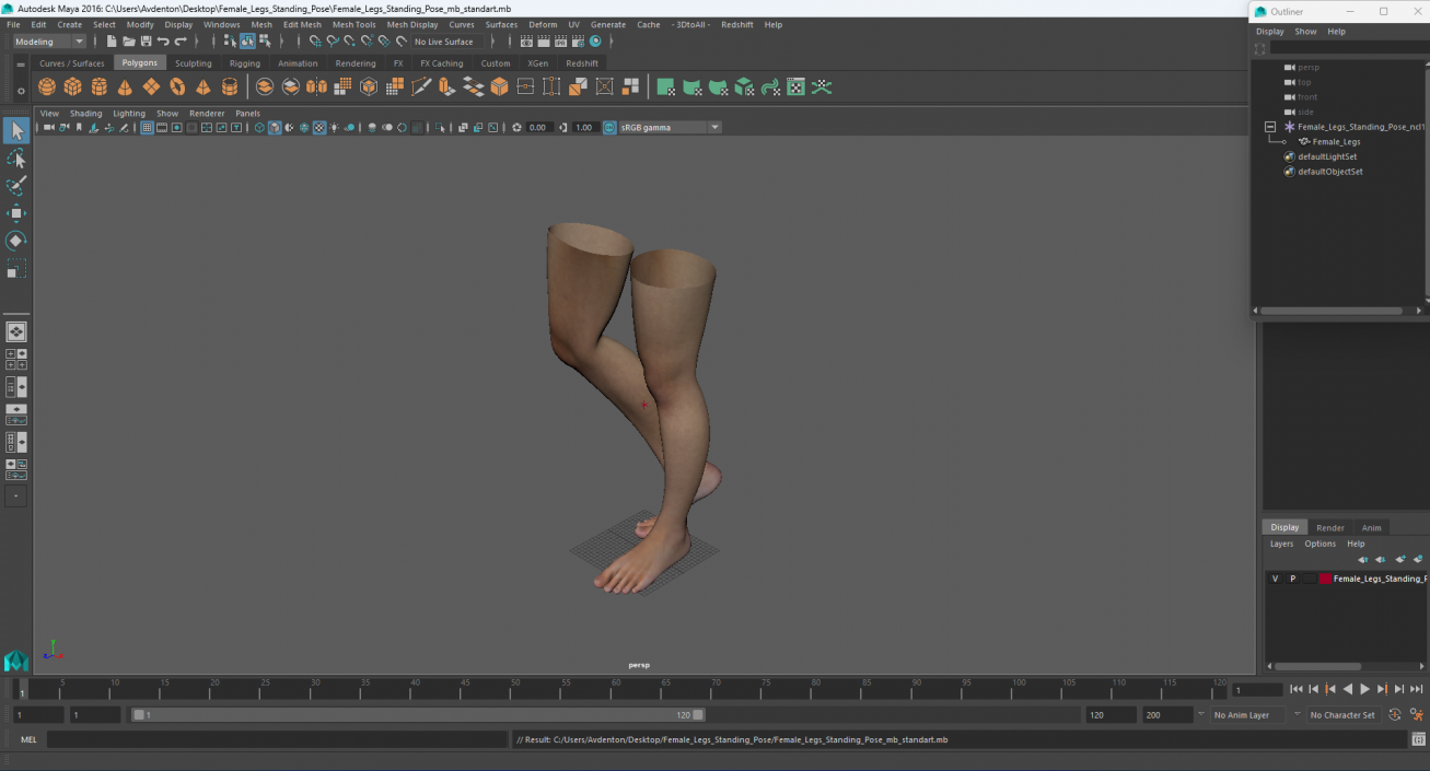 3D model Female Legs Standing Pose