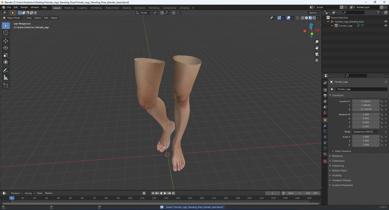 3D model Female Legs Standing Pose