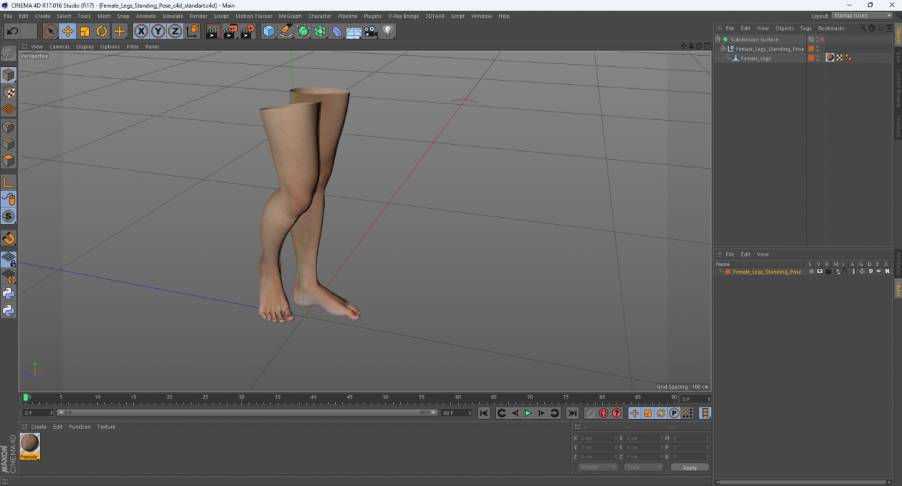 3D model Female Legs Standing Pose