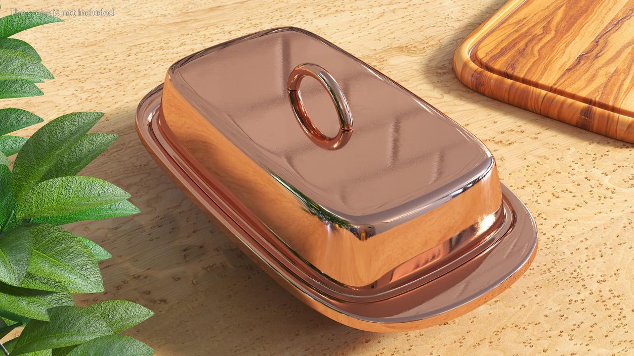 3D Copper Butter Dish model