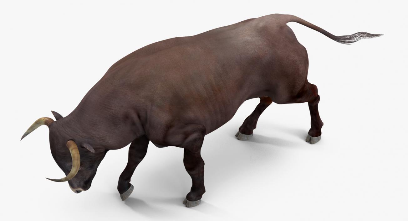 Bull Attacking Pose 3D model