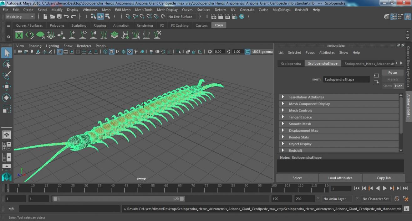 3D Scolopendra Heros Arizonensis Arizona Giant Centipede model