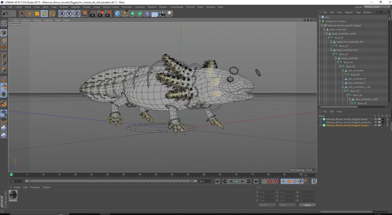 Mexican Brown Axolotl Rigged for Cinema 4D 3D