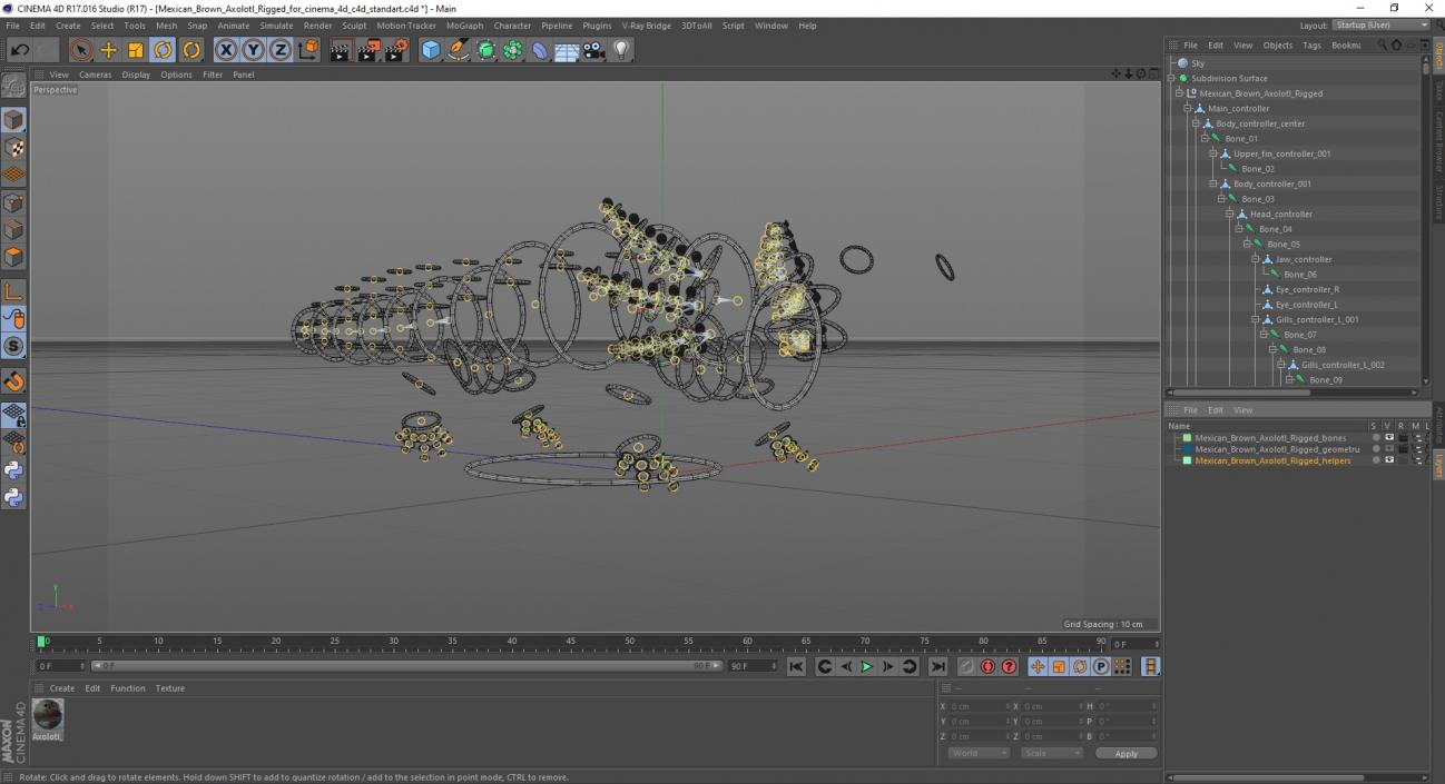 Mexican Brown Axolotl Rigged for Cinema 4D 3D