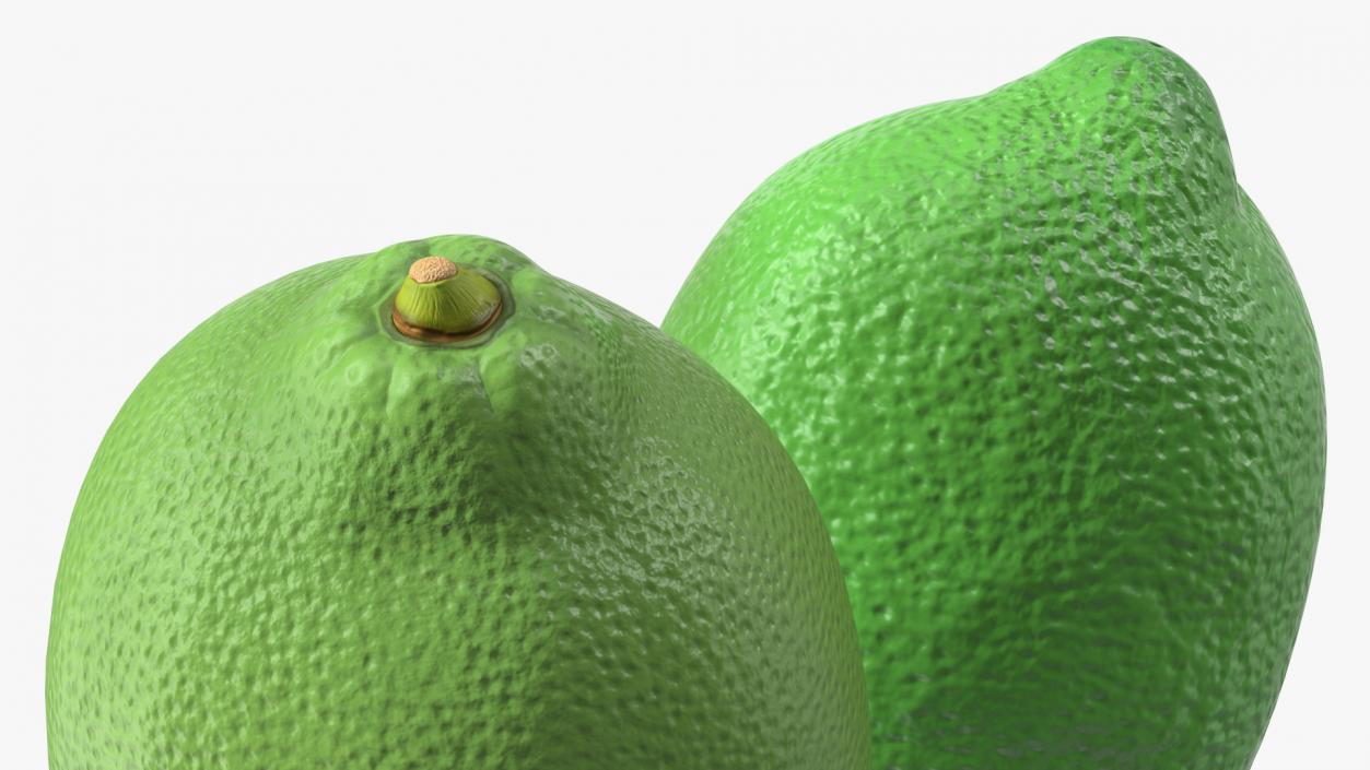 Plastic Green Lemon 3D model